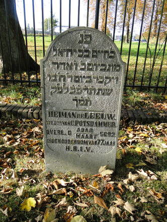 113 Heiman de Leeuw.JPG