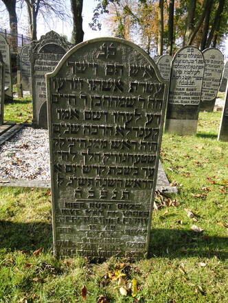 174 Siegfried de Leeuw.JPG