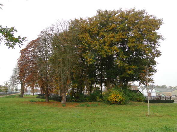 DSC02116.JPG