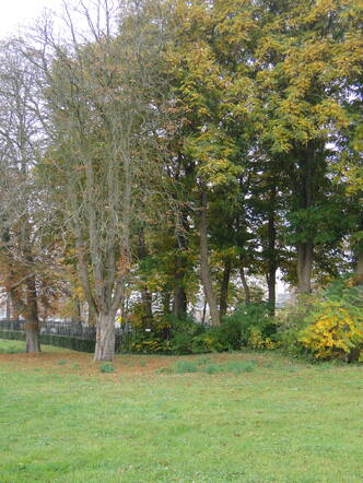DSC02117.JPG
