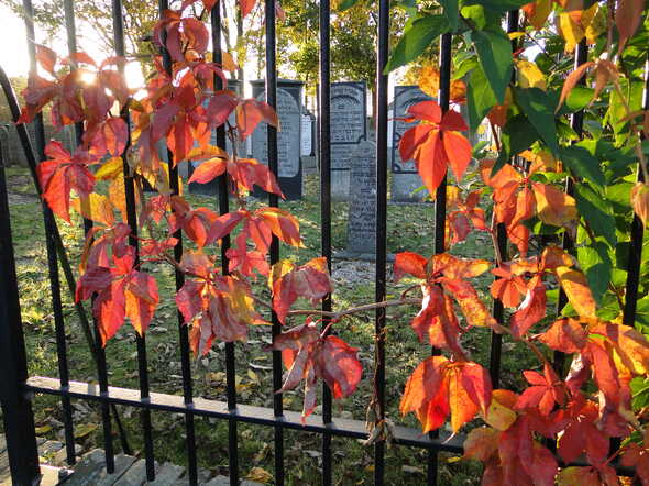 DSC02082.JPG