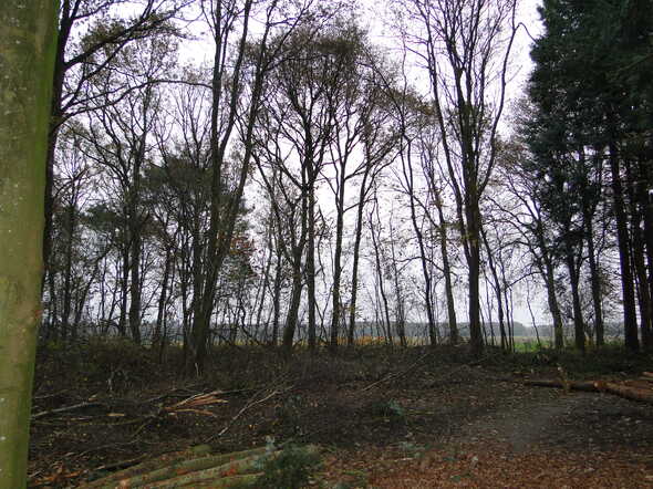 DSC05590.JPG