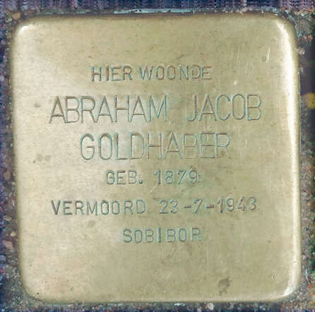 Abraham-Goldhaber.jpg