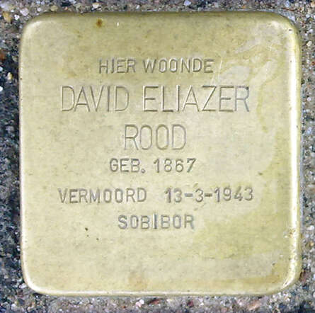 David-Eliazer-Rood.jpg