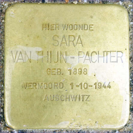 Sara-van-Thijn-Pachter.jpg
