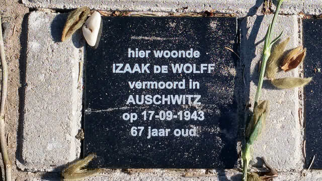 izaak herd 2.jpg