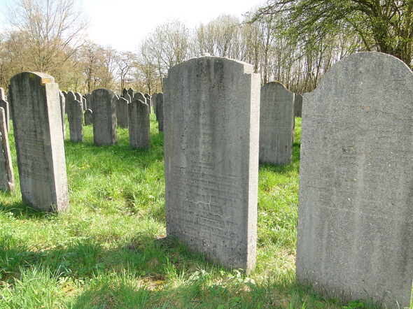 Veld A Reintje van Gelderen-Slager 3.JPG