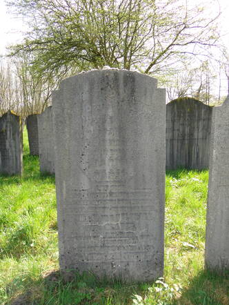 Veld A Reintje van Gelderen-Slager 4.JPG