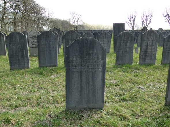 Veld B Benjamin van Gelderen 4.JPG