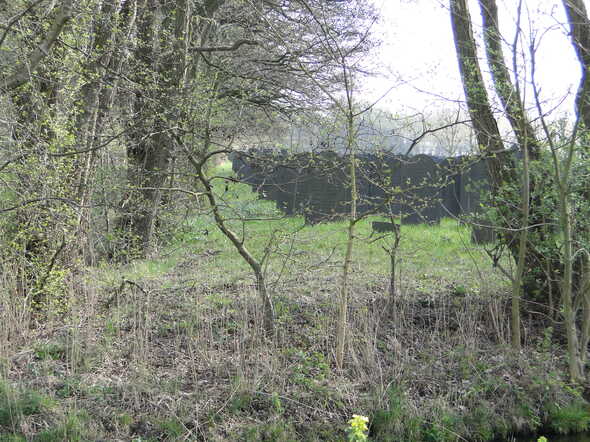 Veld B Benjamin van Gelderen 6.JPG
