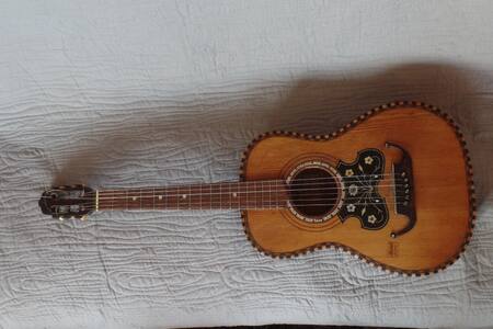 Gitaar Lion Knoop (3).jpg