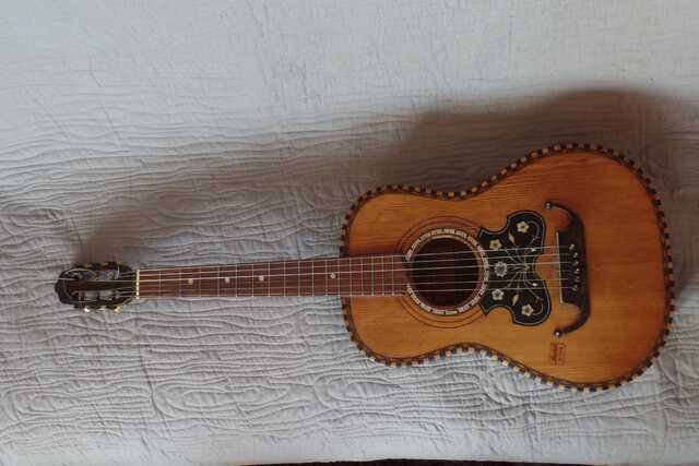 Gitaar Lion Knoop (3).jpg