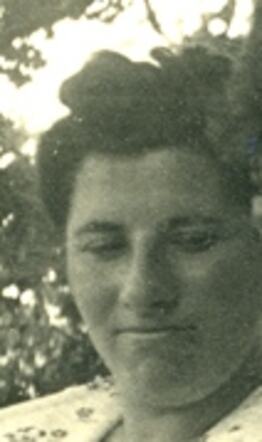 Klaarte de leeuwe velleman.jpg