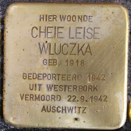 CheieWluczka1918_StSteine.jpg