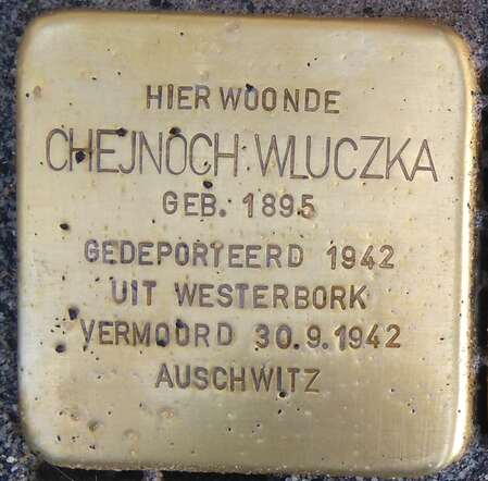 ChejnochWluczka1895_StSteine.jpg