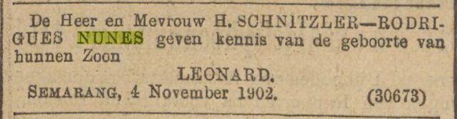 Algemeen Handelsblad 6-11-1902 bevallen.jpg