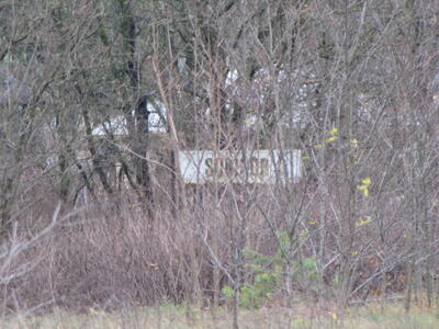 Polen Auschwitz Comité 2010 114.JPG