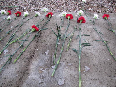 Polen Auschwitz Comité 2010 116.JPG