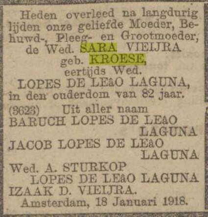 Algemeen Handelsblad 19-1-1918 overlijden moeder.jpg