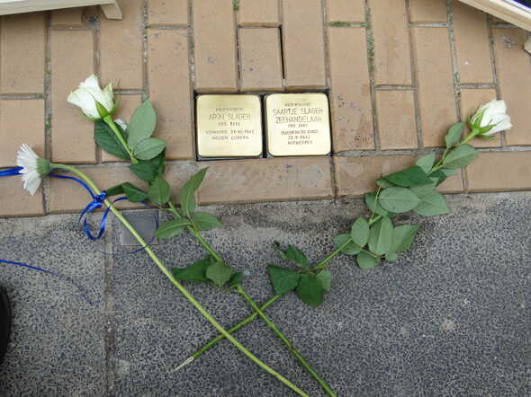 DSC06846.JPG