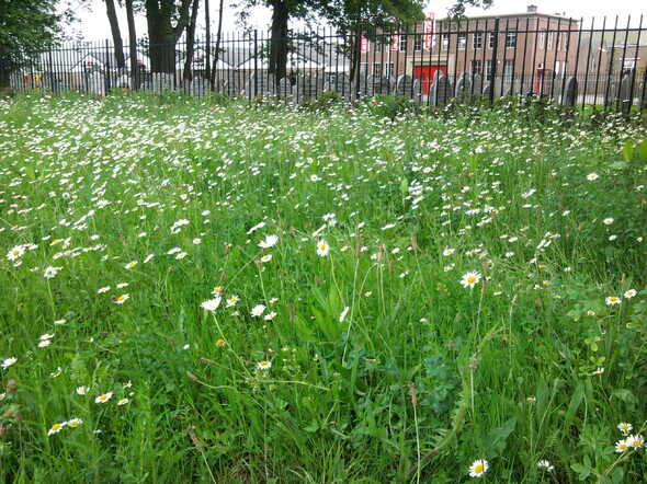2011-05-28 11 27 57.jpg