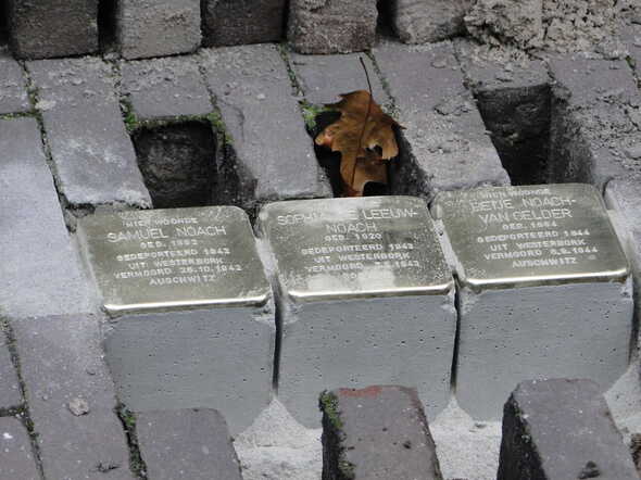 92.JPG