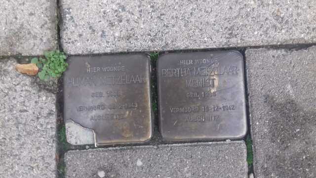 Struikelstenen