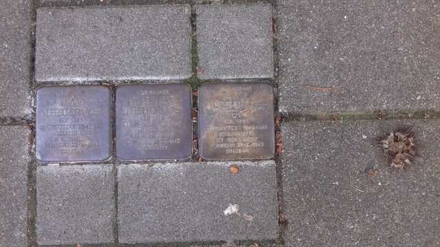 struikelstenen
