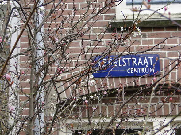 DSC00564.JPG
