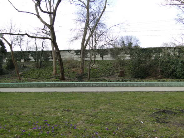 DSC00608.JPG