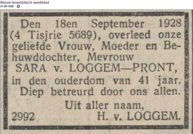 loggem pront.JPG