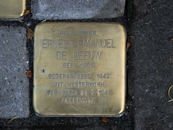 struikelsteen Ernest Emanuel de Leeuw Rielerweg 86 .jpg