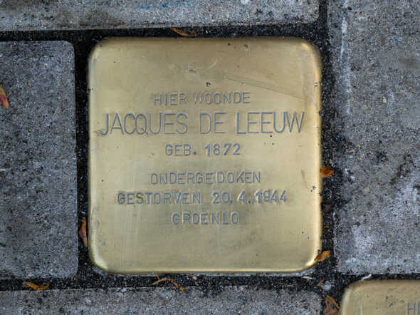 struikelsteen Jacques de Leeuw Rielerweg 86 .jpg