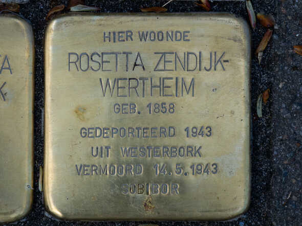 struikelsteen R. Zendijk-Wertheim Keizerstr 8.jpg