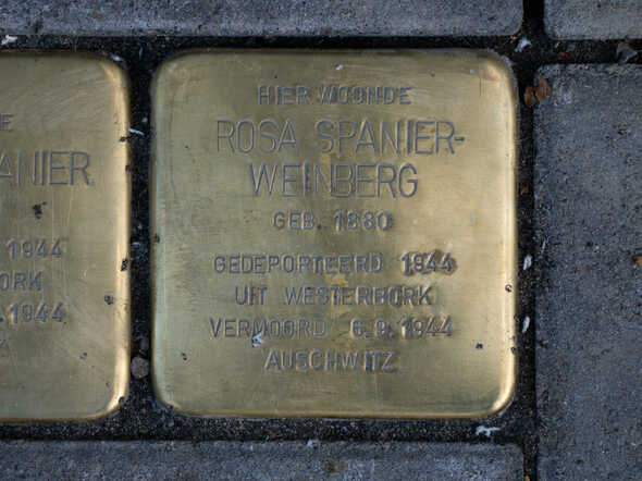 struikelsteen Rosa Spanier-Weinberg Keizerstr 10