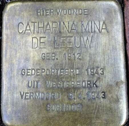 struikelsteen Catharina.jpg