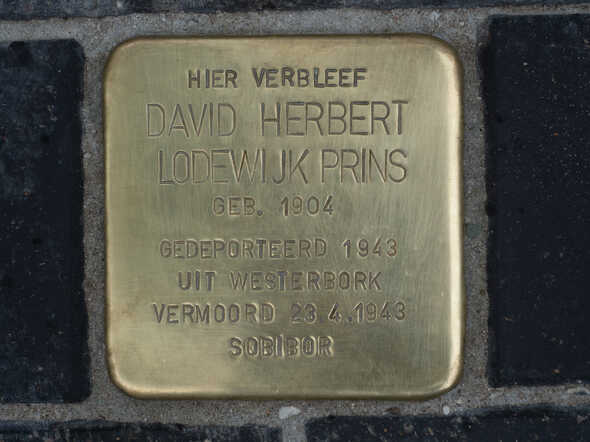struikelsteen David H.L. Prins 6-6-2018.jpg