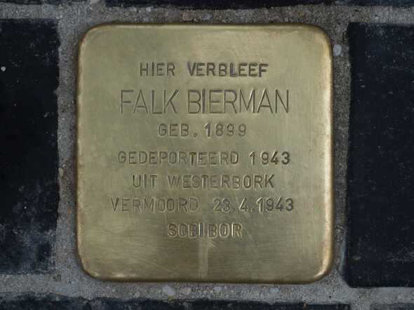 struikelsteen Falk Bierman 6-6-2018.jpg
