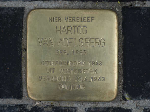 struikelsteen Hartog van Adelsberg 6-6-2018.jpg