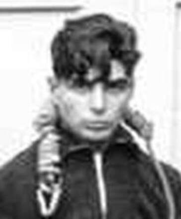 David Estella Ziverberg 