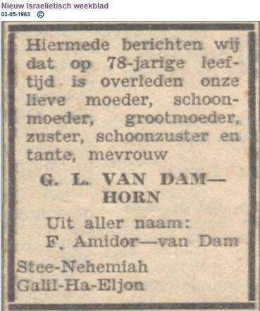 GL Dam Horn.JPG