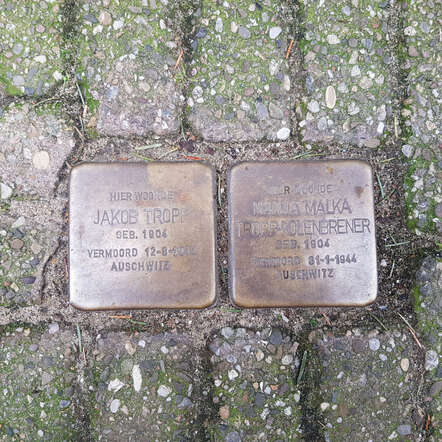 tropp steen.jpg