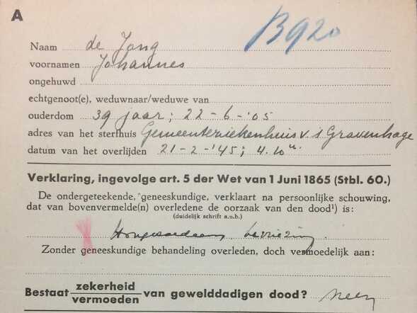 B 920 Johannes de Jong schouwing aanpas.jpg