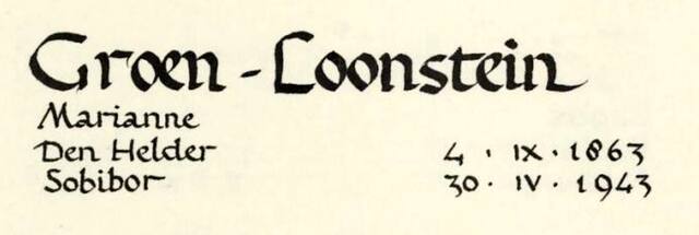 Groen-Loonstein.jpg