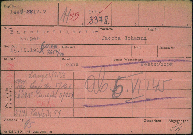 Kaart Theresienstadt met adressen waar Jocoba en Abraham hebben gewoond 001.GIF