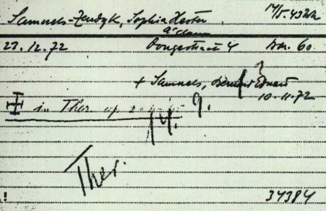Arolson Samuels-Zendijk.jpg