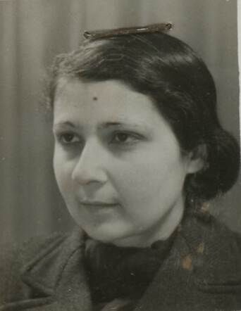 Luise Henriette Hayn-Stern