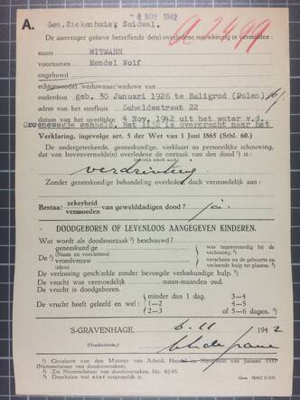 HGA archief gemeentebestuur, schouwing