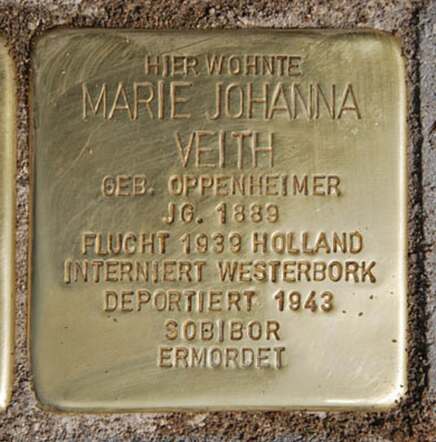 Stolperstein Maria Johanna Veith-Oppenheimer.png