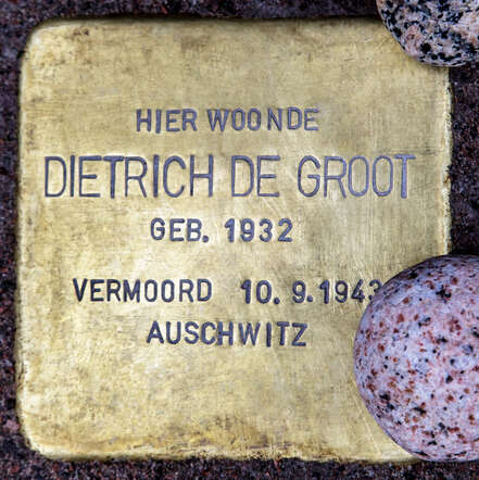 A4-9005.jpg
